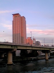 �W�[�j�X���